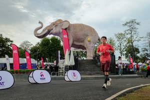 BIB: 
                            <button type="button" onclick="openModal(26528630)" class="btn btn-primary btn-sm float-right btn-popup" data-toggle="modal" data-target=".modal-high-quality">
                        <i class="fas fa-shopping-cart"></i> Add to Cart
                    </button>
                                            <button type="button" onclick="isThisMe(26528630, true)" class="btn btn-success btn-sm float-right btn-popup btn-isme hidden" data-toggle="tooltip" data-placement="bottom" title="นี่คือรูปของคุณใช่ไหม คลิกที่นี่เพื่อเอาเข้าอัลบั้ม">
                        <i class="fas fa-plus"></i> Add to album
                    </button>
                    <button type="button" onclick="isThisMe(26528630, false)" class="btn btn-warning btn-sm float-right btn-popup btn-isnotme hidden">
                        <i class="fas fa-ban"></i> Remove from album
                    </button>